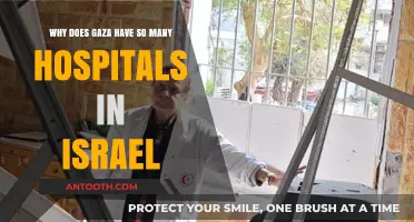 Gaza's Hospitals: Understanding the Healthcare Landscape Amidst Conflict