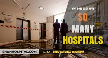 Gaza's Hospitals: A Vital Network Amidst Conflict