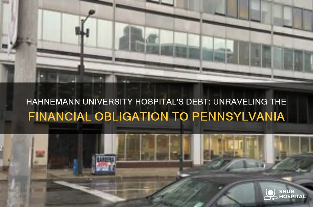 why does hahnemann university hospital owe the state money