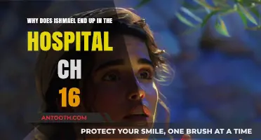Ishmael's Hospitalization: Unraveling the Events of Chapter 16