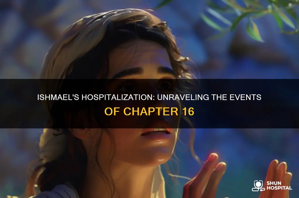 why does ishmael end up in the hospital ch 16