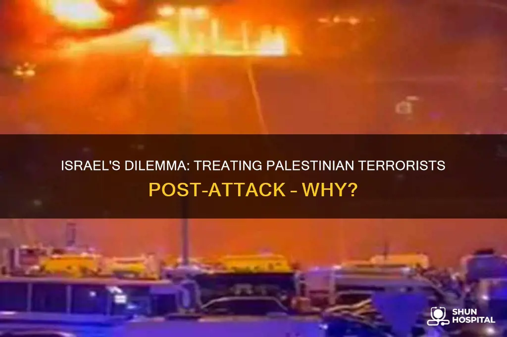 why does israel hospitalize palestinian terrorists after horrible attacks