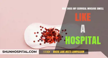 Cervical Mucus Hospital Smell: Causes, Concerns, and When to Seek Help
