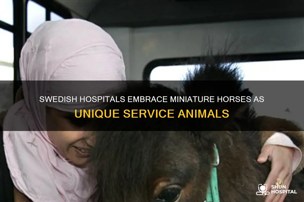 why does swedish hospital specify miniature horses as service animals
