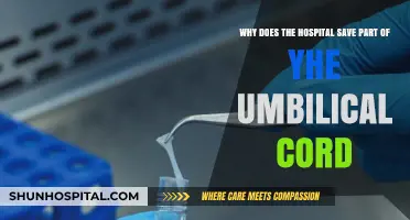 Why Hospitals Preserve Umbilical Cord Tissue: Benefits and Uses Explained
