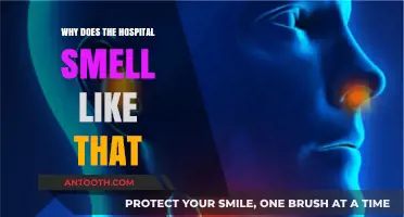 Unveiling the Unique Aroma: Why Hospitals Smell the Way They Do