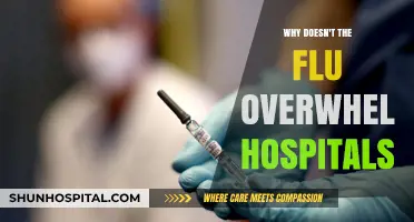 Why Flu Seasons Rarely Overwhelm Hospitals: Key Factors Explained