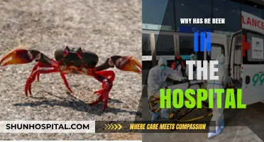 Unraveling the Mystery: Why Has He Been Hospitalized?
