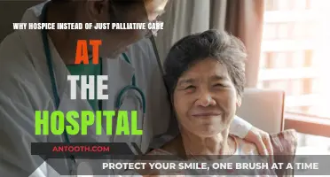 Hospice vs. Hospital Palliative Care: Understanding the Key Differences