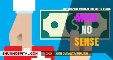 Unraveling the Mystery: Why U.S. Hospital Prices Defy Logic