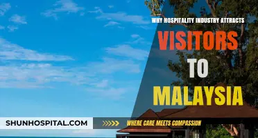 Malaysia's Hospitality Industry: A Magnet for Global Visitors