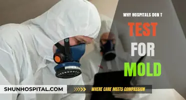 Why Hospitals Often Overlook Mold Testing: Unseen Risks Explained