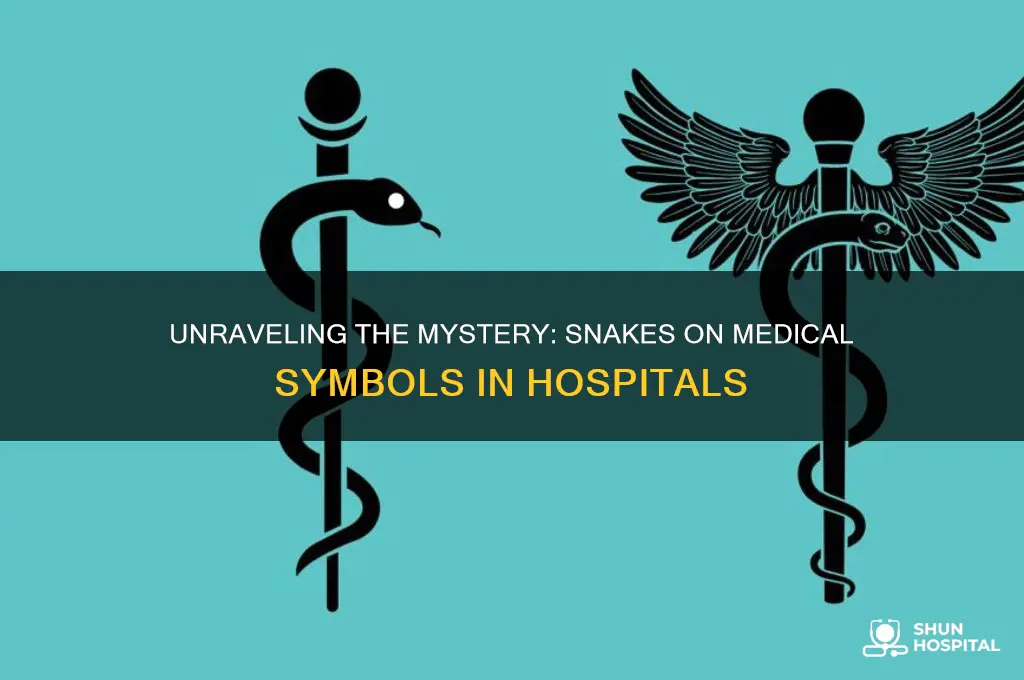 why hospitals have a snakes on a medical symbol