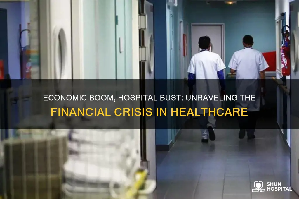 why hospitals losing money in best economy