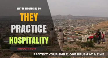 Mogadishu's Hospitality: Unveiling the Cultural Roots of Somali Generosity