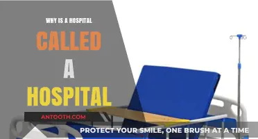Why 'Hospital'? Uncovering the Origins of the Name and Its Meaning