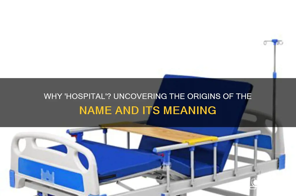 why is a hospital called a hospital