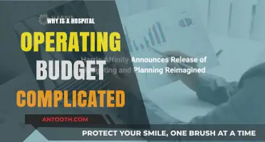 Understanding the Complexity of a Hospital's Operating Budget