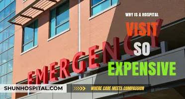 Unraveling the High Costs of Hospital Visits: What Drives Expenses?
