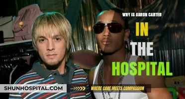 Aaron Carter Hospitalized: Unraveling the Troubling Circumstances Behind His Admission