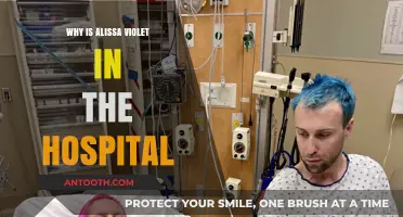 Alissa Violet Hospitalized: Unraveling the Mystery Behind Her Health Scare