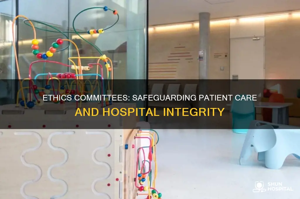 why is an ethics committee important to a hospital