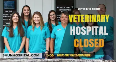 Bell County Veterinary Hospital Closure: Reasons Behind the Sudden Shutdown