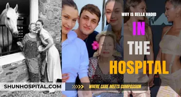 Bella Hadid Hospitalized: Unraveling the Mystery Behind Her Health Scare
