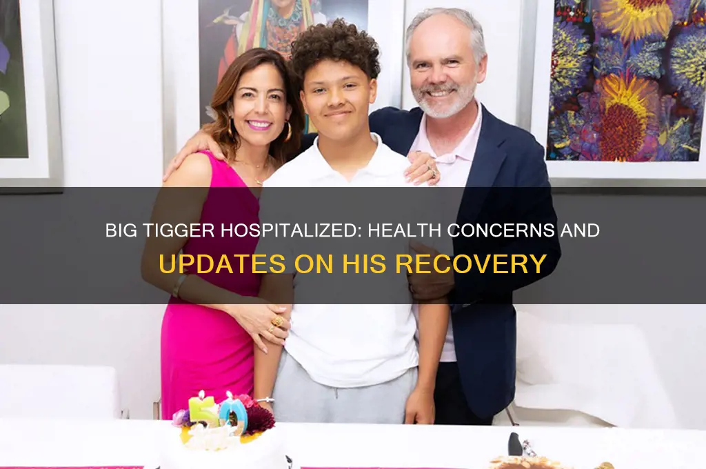 why is big tigger in the hospital