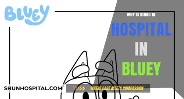 Bluey's Bingo Hospital Visit: Exploring the Emotional Episode's Impact
