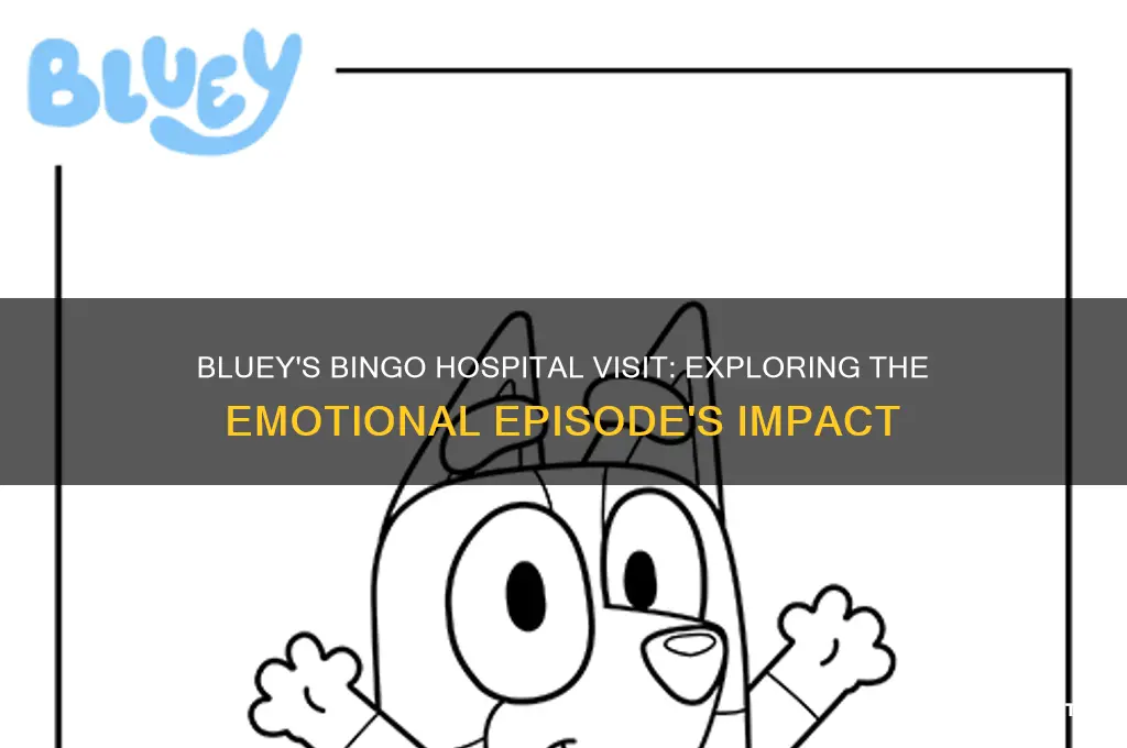 why is bingo in hospital in bluey
