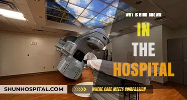 Why Bird Brown's Hospital Visit Sparked Curiosity and Concern