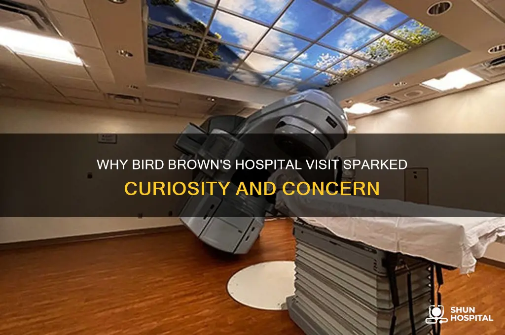 why is bird brown in the hospital