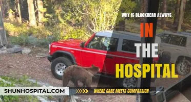 Blackbear's Frequent Hospital Visits: Unraveling the Mystery Behind His Health Struggles