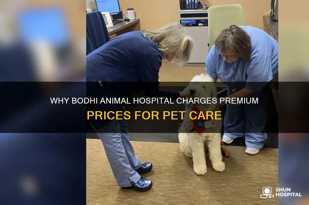 why is bodhi animal hospital so expensive