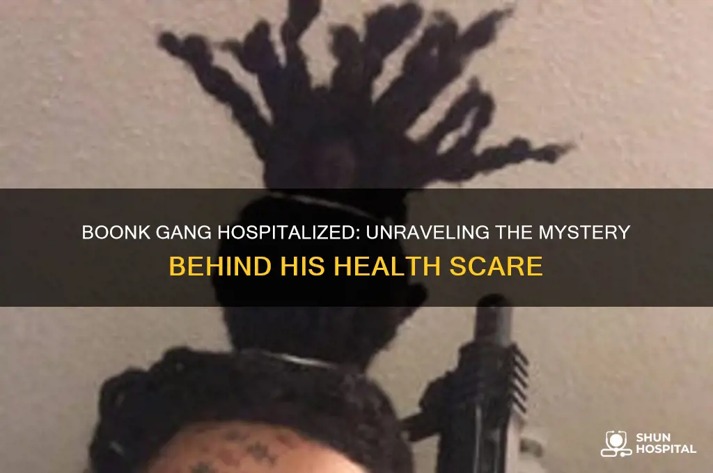 why is boonk gang in the hospital