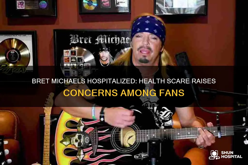 why is bret michaels in the hospital