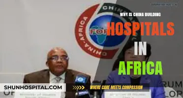 China's African Hospital Initiative: Motivations and Impact Explored