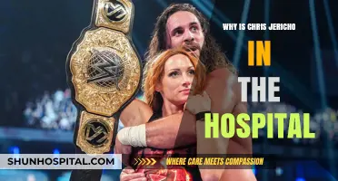 Chris Jericho Hospitalized: What Happened to the Wrestling Legend?