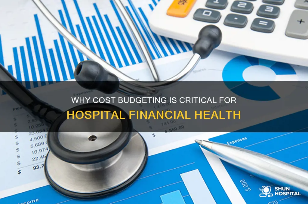 why is cost budgeting important in hospitals