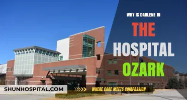 Why Darlene's Hospitalization Shocks Ozark Fans: Unraveling the Drama