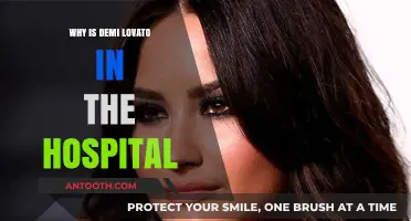 Demi Lovato Hospitalized: Understanding the Circumstances and Updates