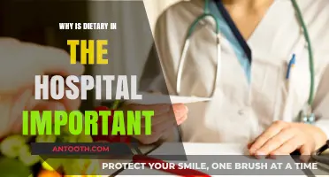 Hospital Nutrition: Why Dietary Care is Crucial for Patient Recovery
