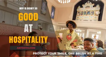 Disney's Hospitality Magic: Secrets Behind Their Exceptional Guest Experience