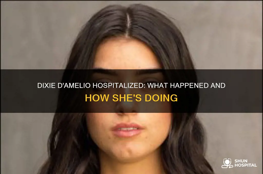 why is dixie damelio in the hospital