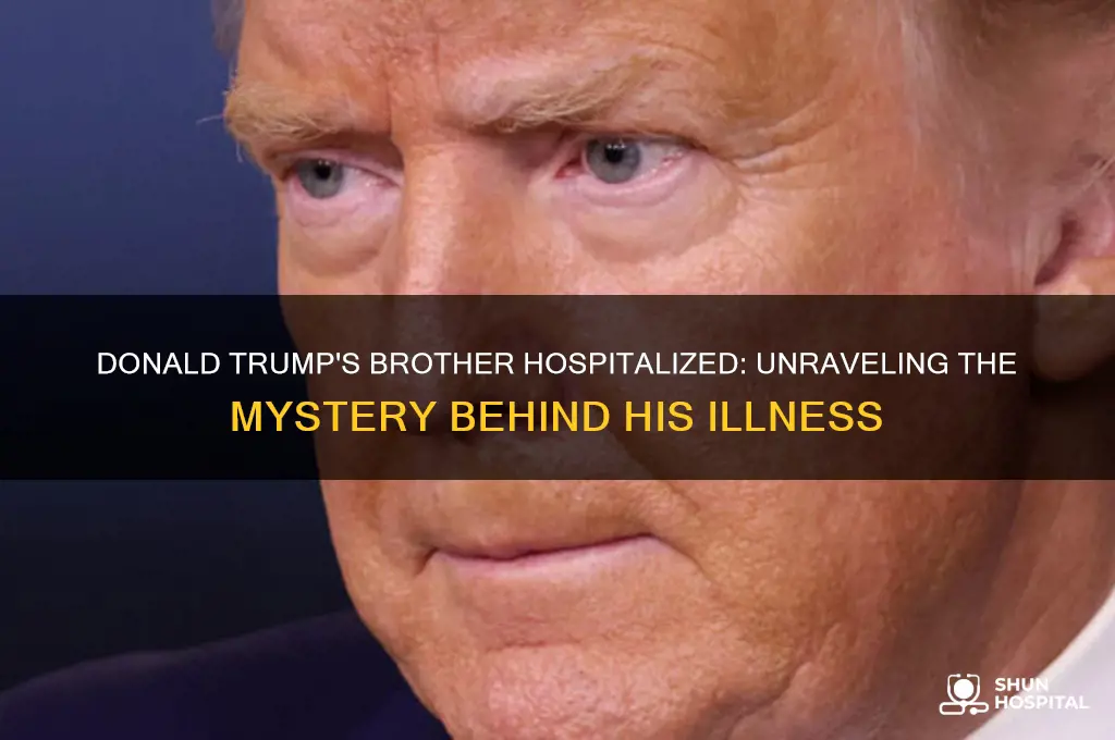 why is donald trump