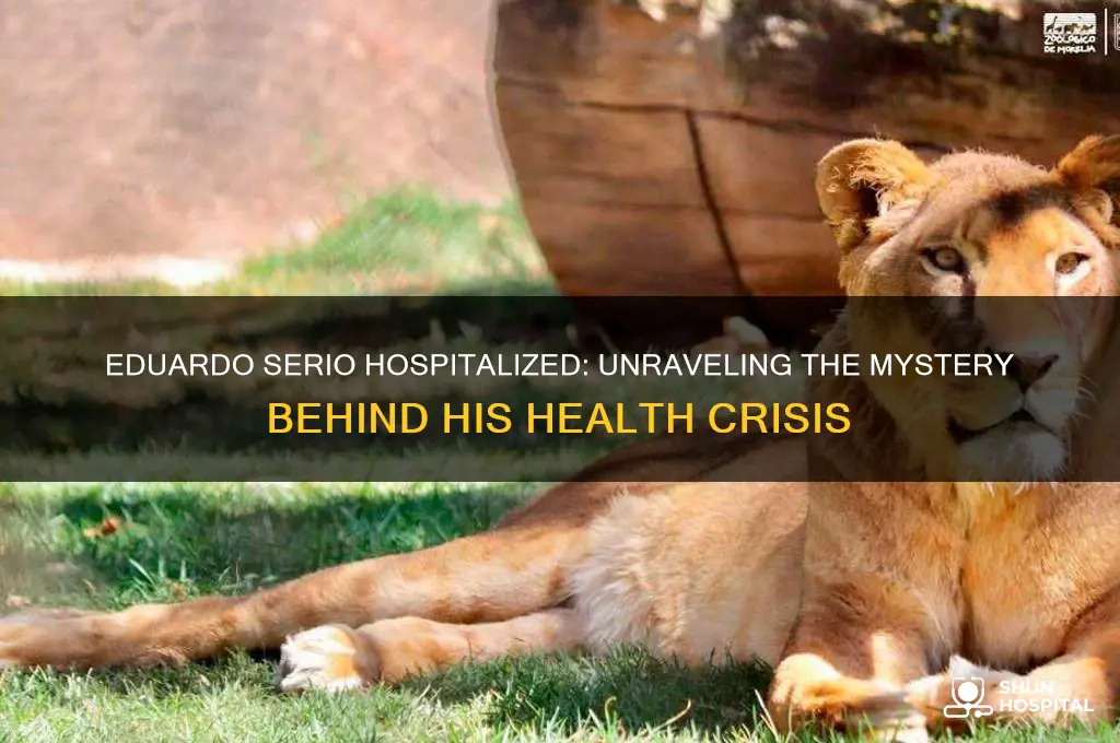 why is eduardo serio in the hospital