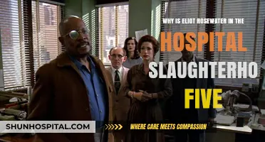 Eliot Rosewater's Hospital Stay: Unraveling Slaughterhouse-Five's Symbolic Depths