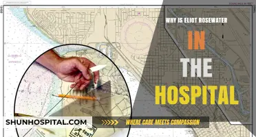 Why is Eliot Rosewater in the Hospital? Exploring His Breakdown