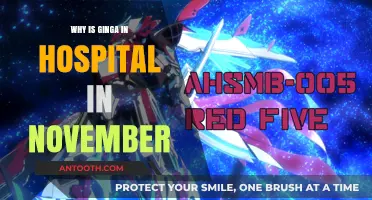 Why Ginga's November Hospitalization Has Fans Concerned and Curious